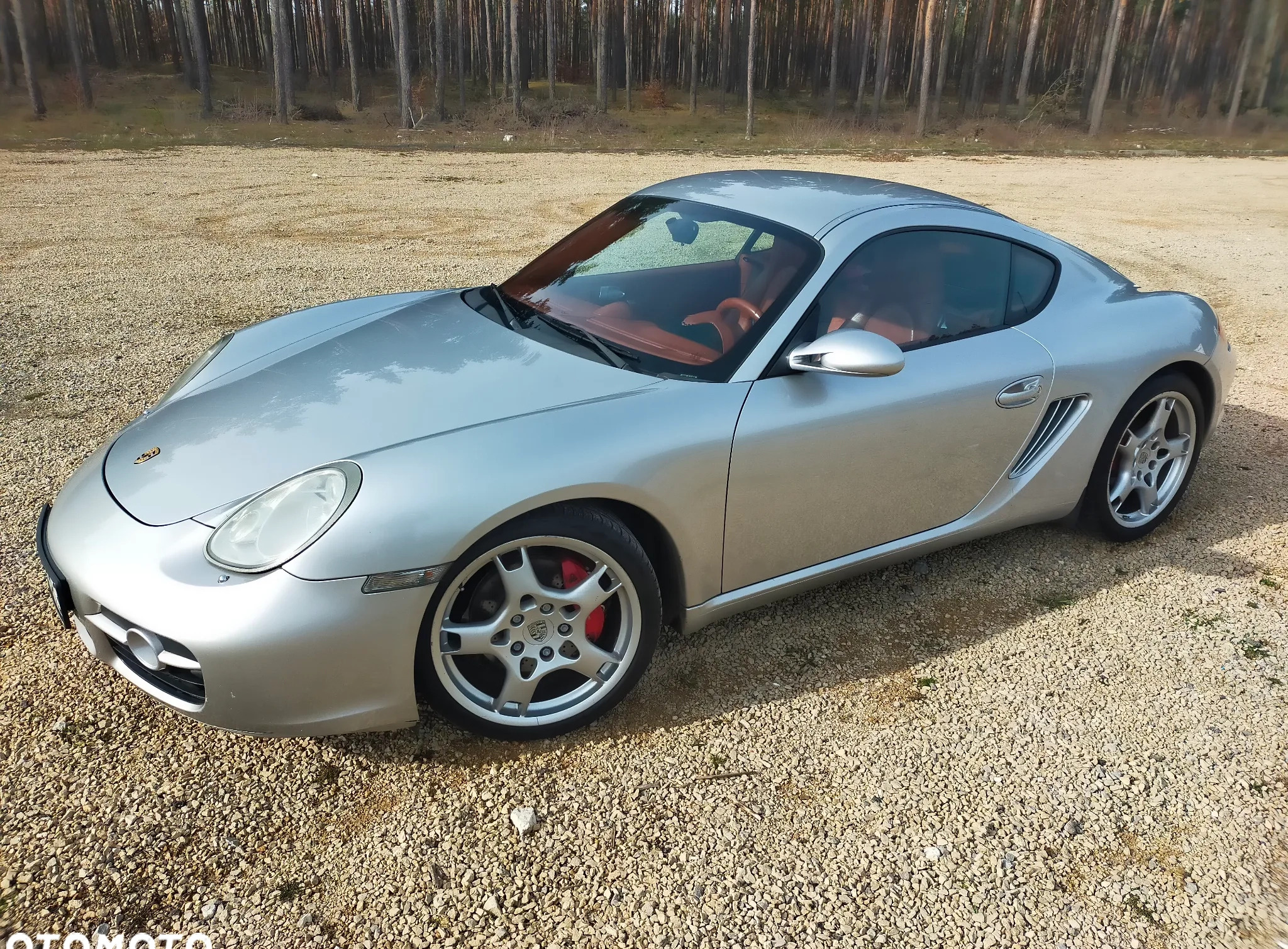 Porsche Cayman cena 105000 przebieg: 178000, rok produkcji 2006 z Zawiercie małe 379